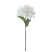 Hortensia hvid 56 cm